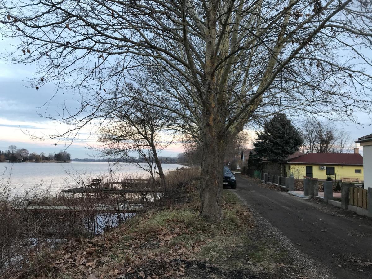 Neptun2 apartman Domsod Bagian luar foto